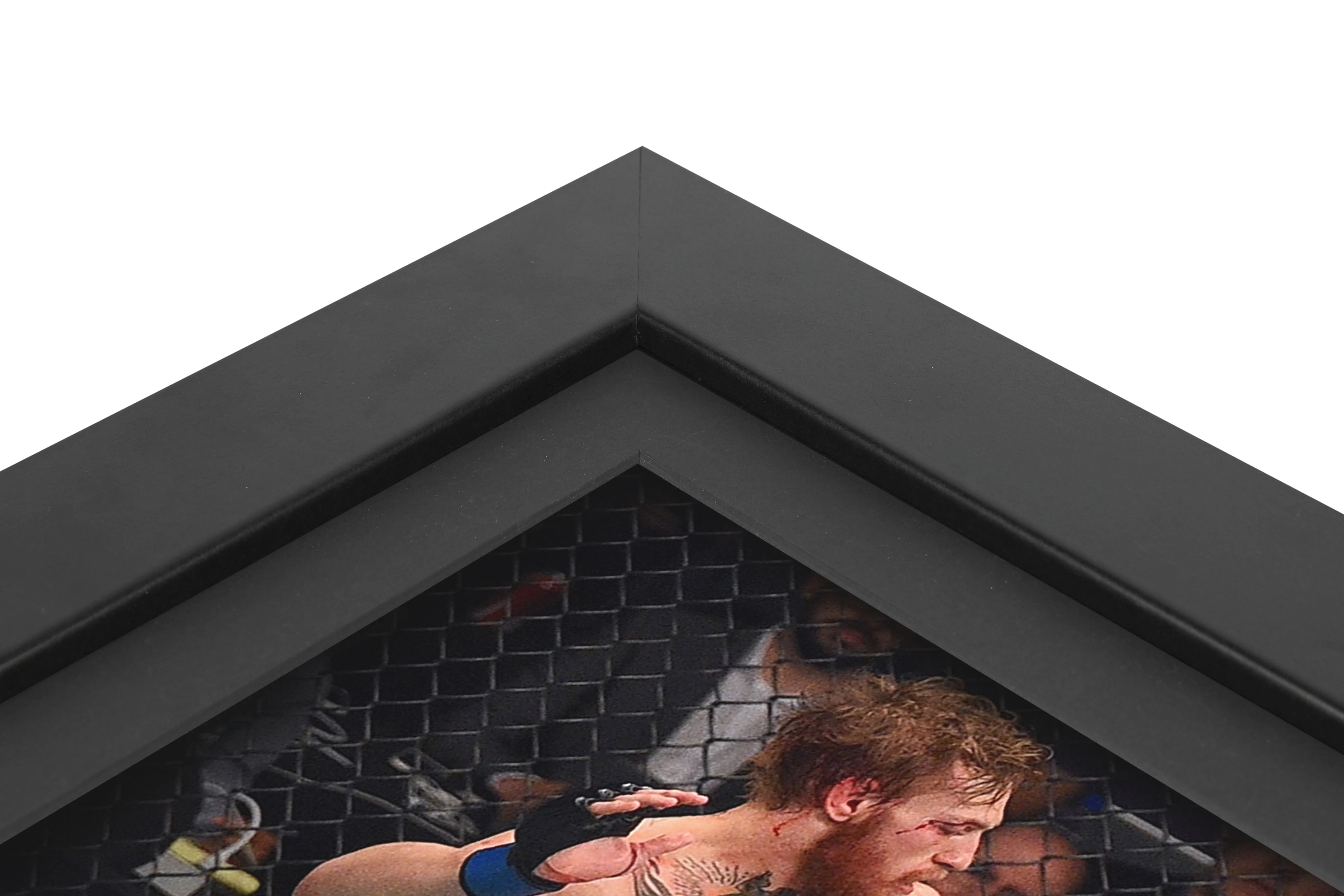 Conor McGregor Limited Edition UFC 189 Canvas & Photo - Image 4
