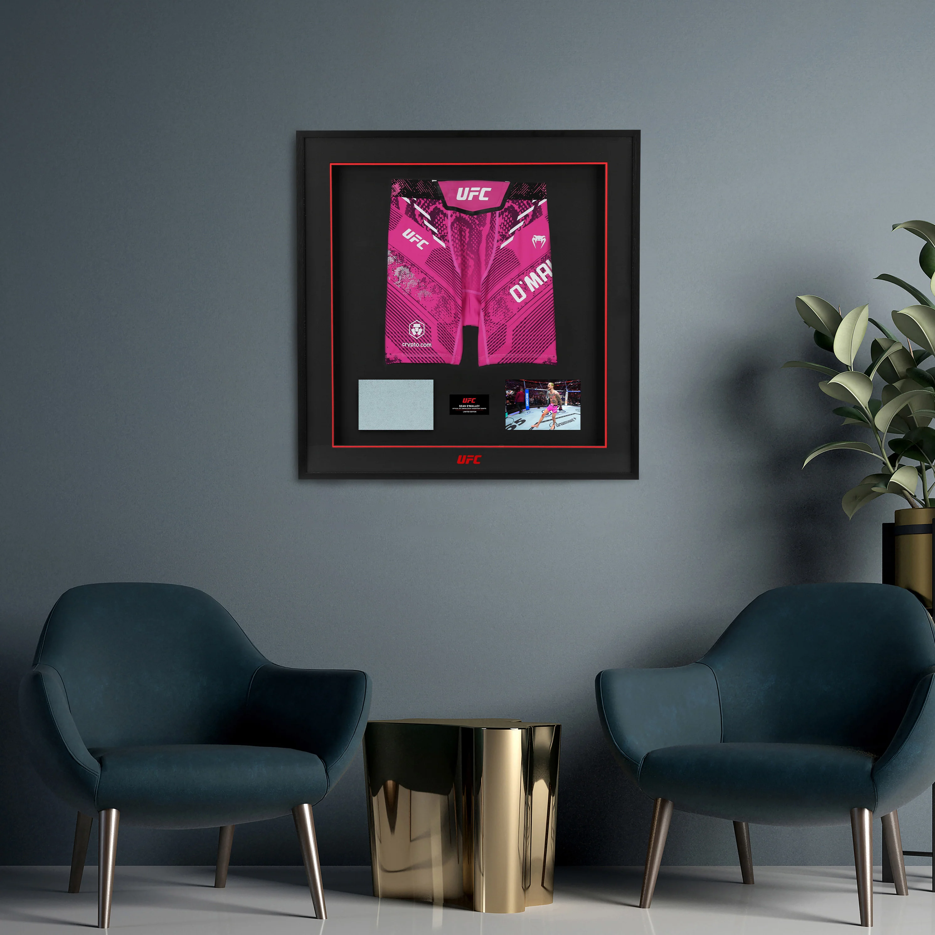 Sean O'Malley Limited Edition UFC 324 Venum Shorts & Canvas Display - Image 5