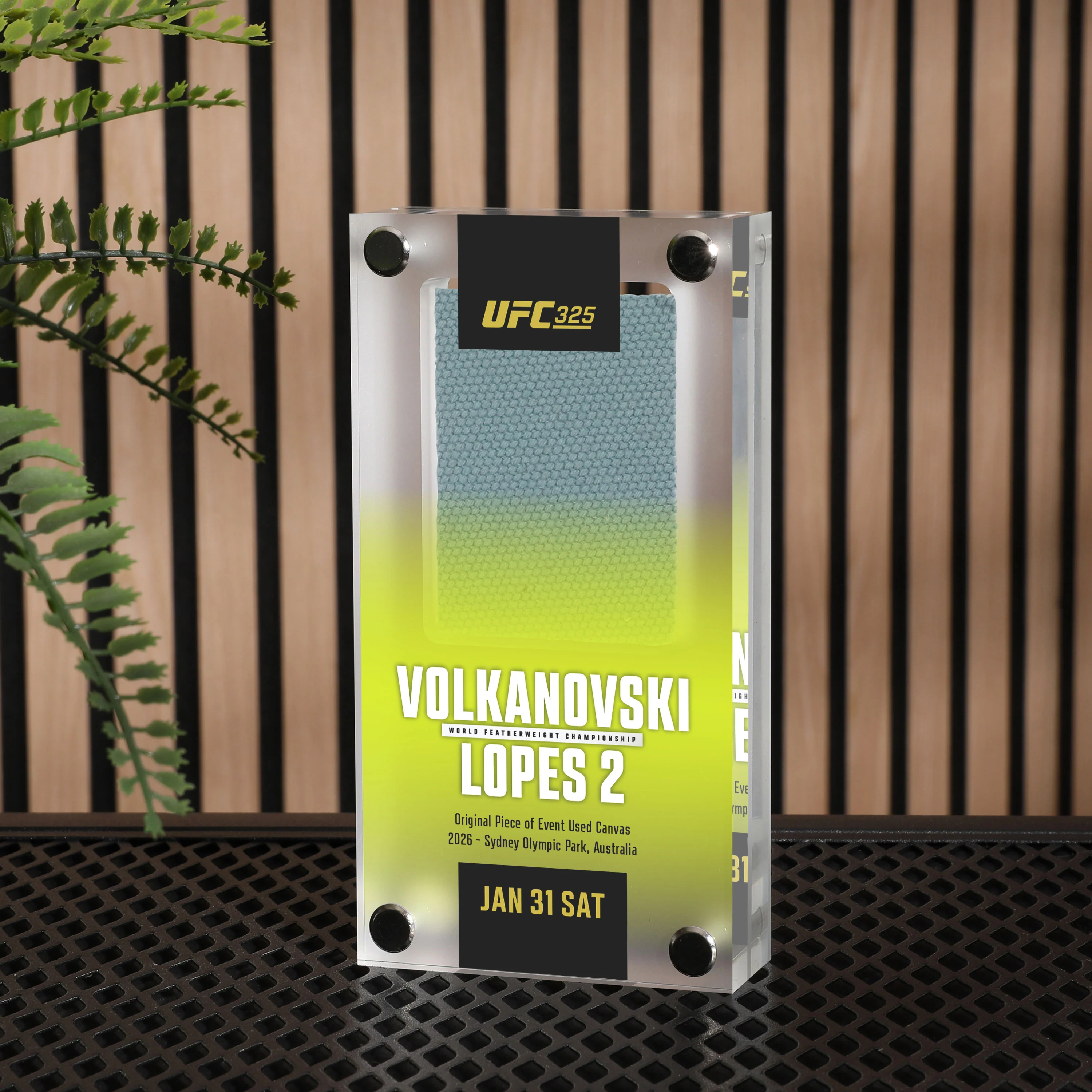 UFC 325: Volkanovski vs Lopes 2 Canvas in Acrylic - Image 4