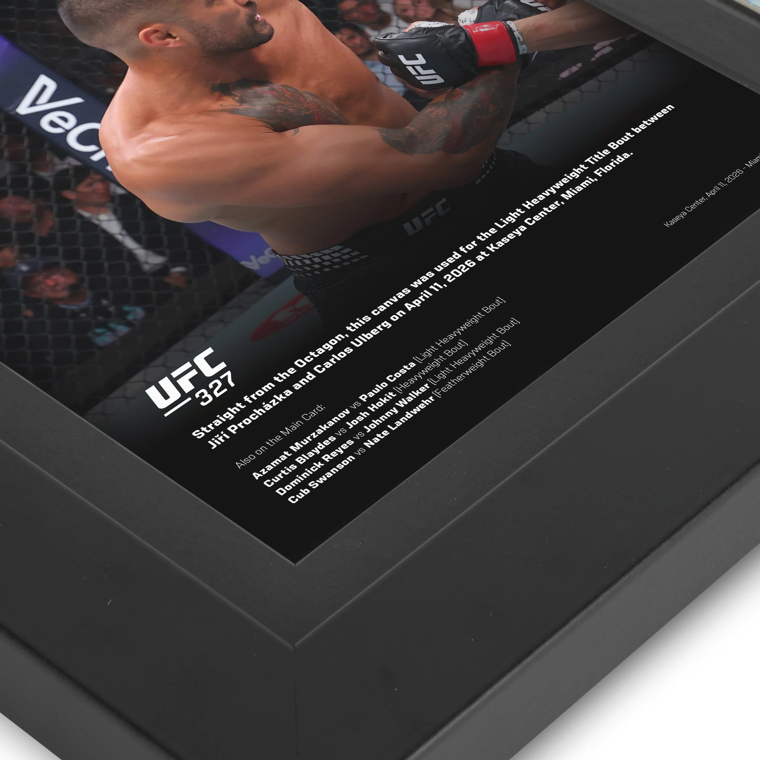 UFC 327: Procházka vs Ulberg Canvas & Photo - Image 4